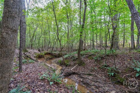 Vacant Land For Sale - Lower Wirebridge Road<br/> Stephens, GA 30667