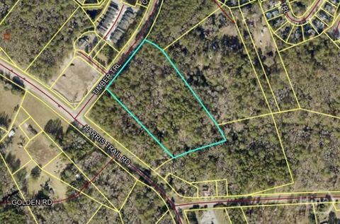 Vacant Land For Sale - Timber Trail<br/> Richmond Hill, GA 31324