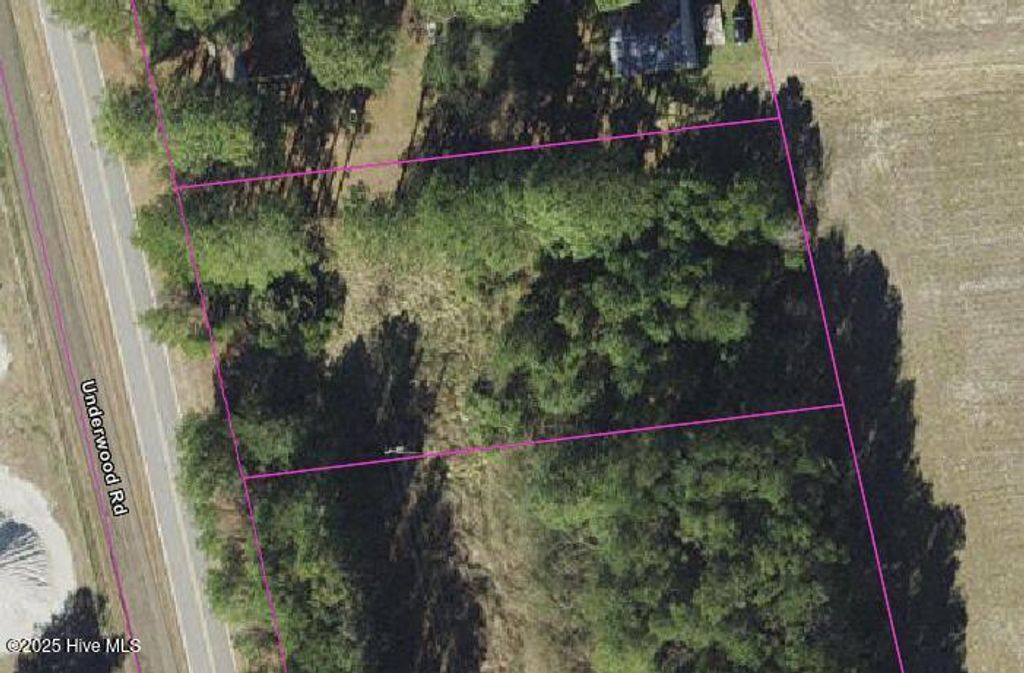 Photo of 0 Underwood Road, Murfreesboro, NC 27855 (MLS # 100528558)