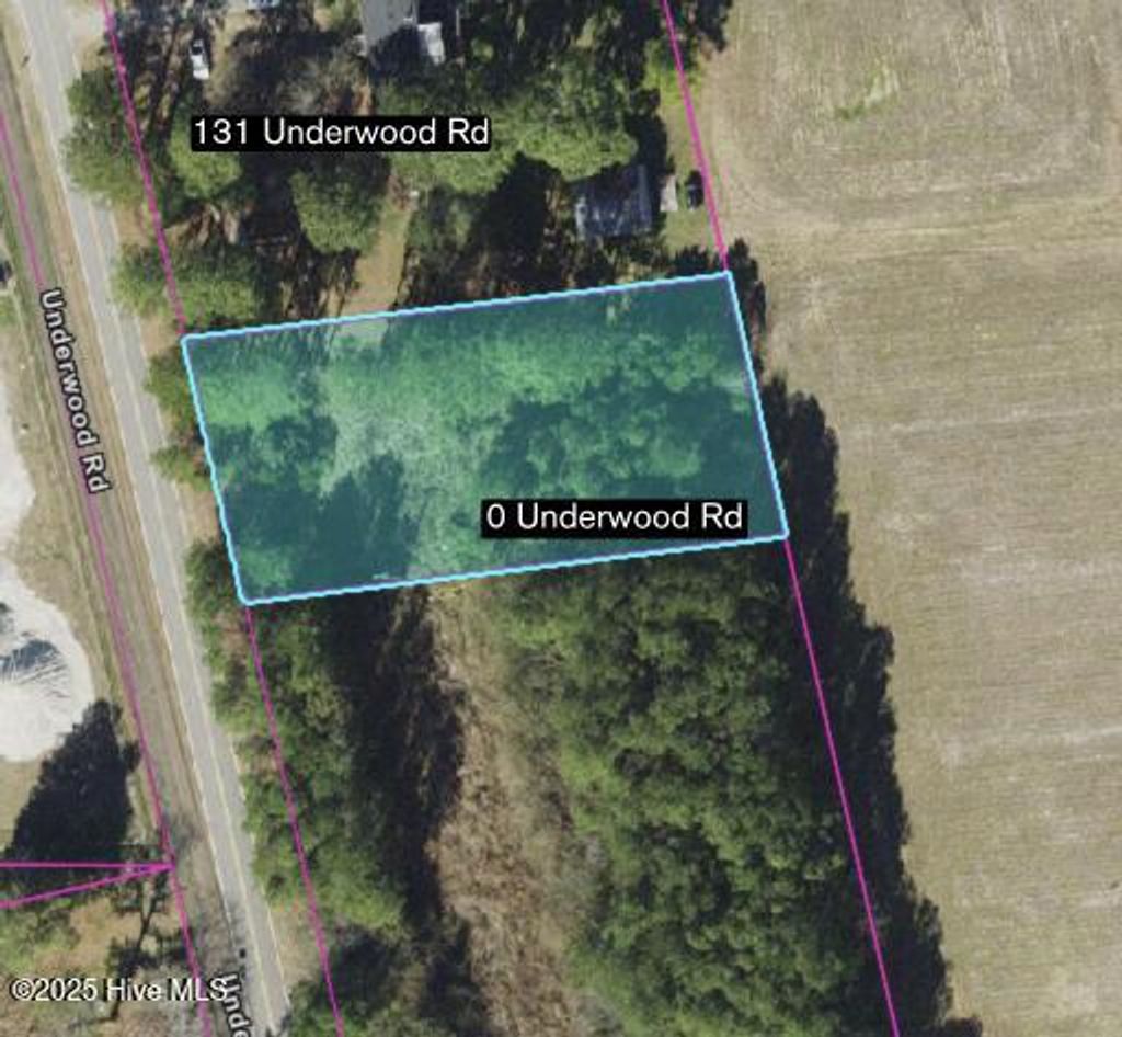 Photo of 0 Underwood Road, Murfreesboro, NC 27855 (MLS # 100528558)