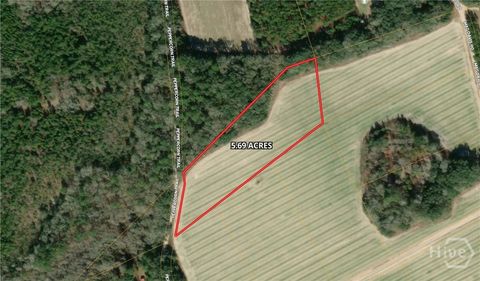 Vacant Land For Sale - Peppercorn Trail<br/> Bulloch County, Pembroke, GA 31321