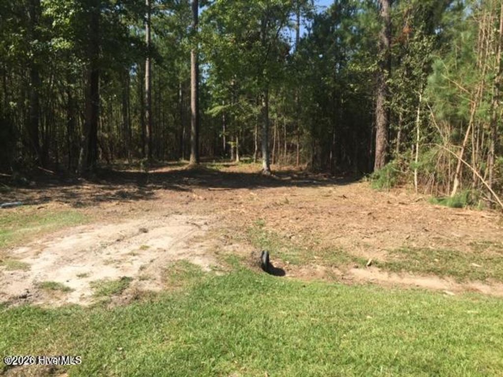 Photo of 2421 Bailey Point Drive, Belhaven, NC 27810 (MLS # 100571361)
