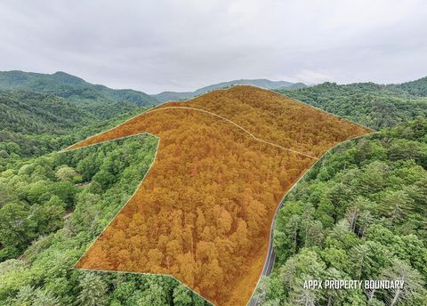 Vacant Land For Sale - 399 Shell Stand Road<br/> Almond, NC 28702
