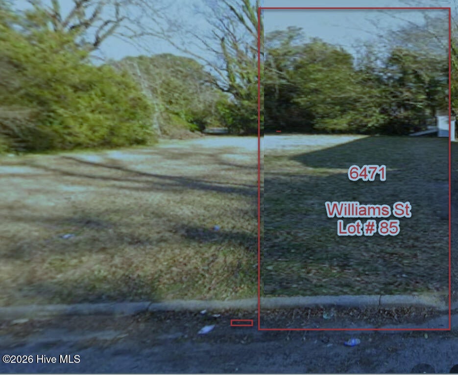 Photo of 85 4617821004 Williams Street, Farmville, NC 27828 (MLS # 100605654)