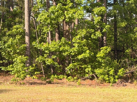 Vacant Land For Sale - 2943 Willis Foreman Road<br/> Richmond County, Hephzibah, GA 30815