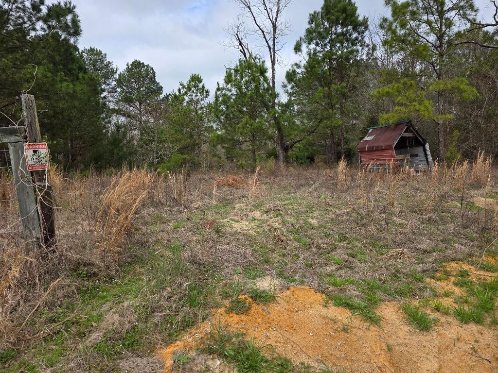 Photo of 1880 Alexander- Munnerlyn Road, Sardis, GA 30456 (MLS # 552914)