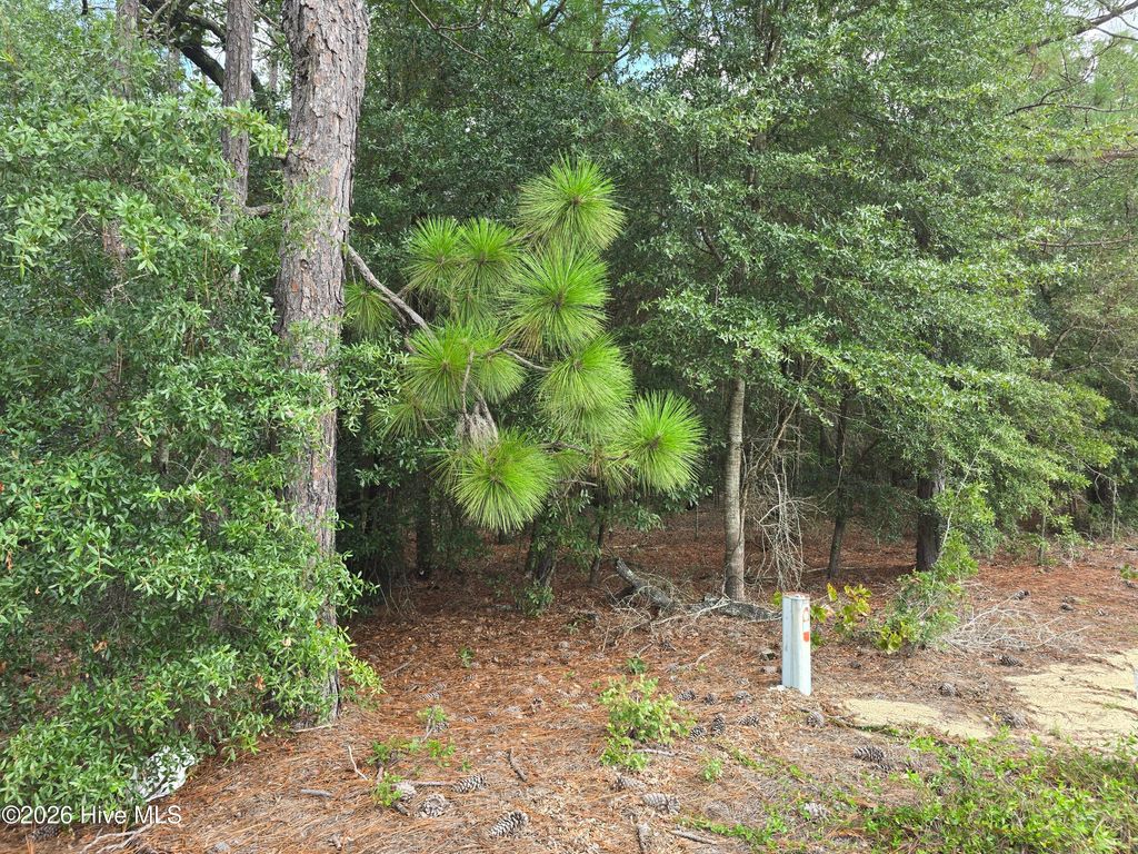 Photo of 317 R J Johnson Road, Allendale, SC 29810 (MLS # 100584686)