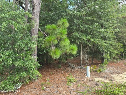 Vacant Land For Sale - 317 R J Johnson Road<br/> Allendale, SC 29810
