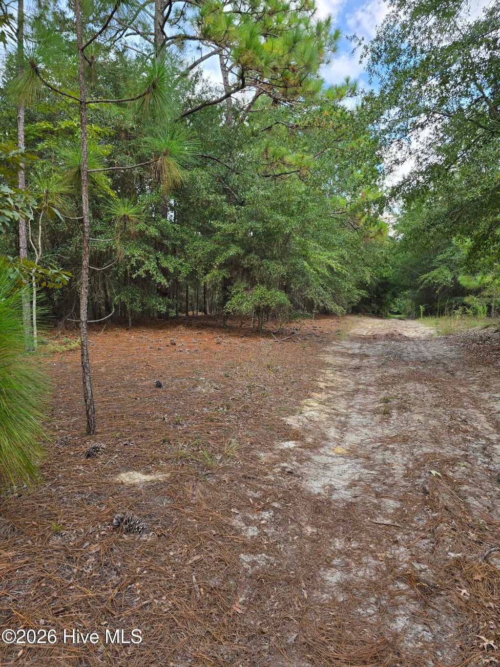 Photo of 317 R J Johnson Road, Allendale, SC 29810 (MLS # 100584686)