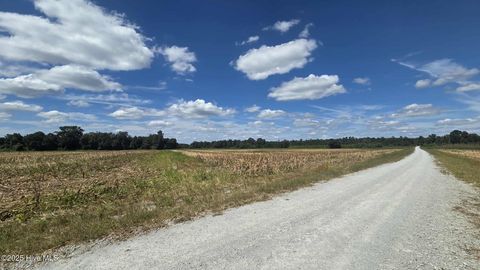 Vacant Land For Sale - TBD James Porter Road<br/> Bladen County, Kelly, NC 28448