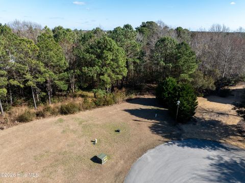 Tiny photo for 415 Wisteria Lane, Holly Ridge, NC 28445 (MLS # 100556993)