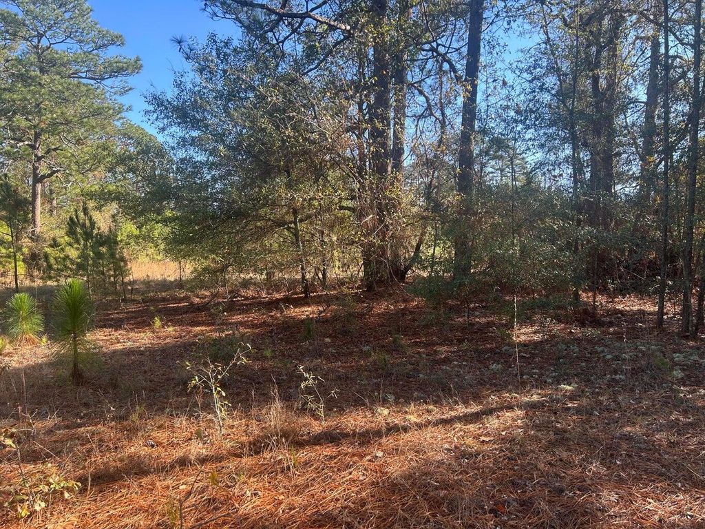 Photo of 00 Fairway Drive, New Ellenton, SC 29809 (MLS # 550260)