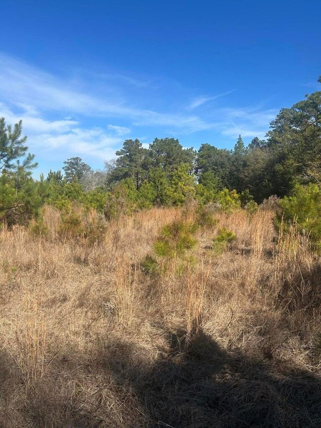 Photo of 00 Fairway Drive, New Ellenton, SC 29809 (MLS # 550260)