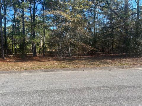 Vacant Land For Sale - 00 Fairway Drive<br/> New Ellenton, SC 29809