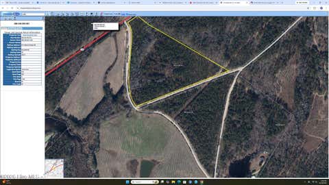 Vacant Land For Sale - TBD Eugene Woodward Road<br/> Mount Croghan, SC 29727
