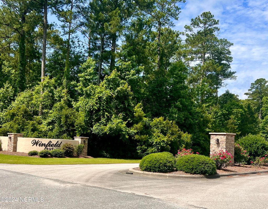 Photo of 898 Winfield Lane, Pinetown, NC 27865 (MLS # 100452863)