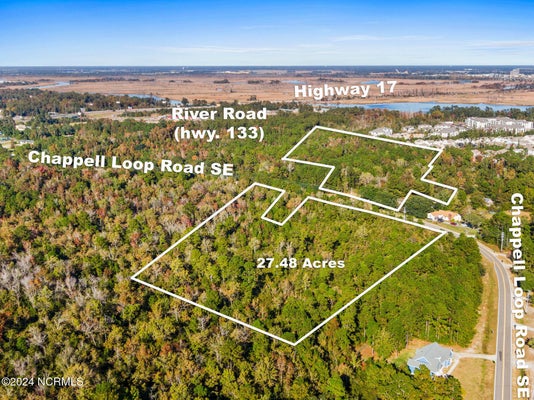 10295 CHAPPELL LOOP RD, BELVILLE, NC 28451 - Image d0f2a1b0c01721b930e34fe7a2b10c73/1276891965
