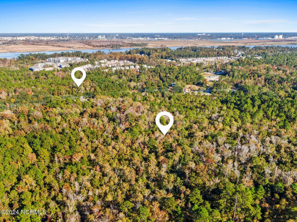 Photo of 10295 Chappell Loop Road SE, Belville, NC 28451 (MLS # 100474460)