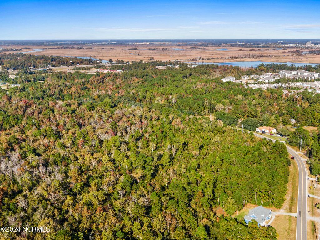 Photo of 10295 Chappell Loop Road SE, Belville, NC 28451 (MLS # 100474460)