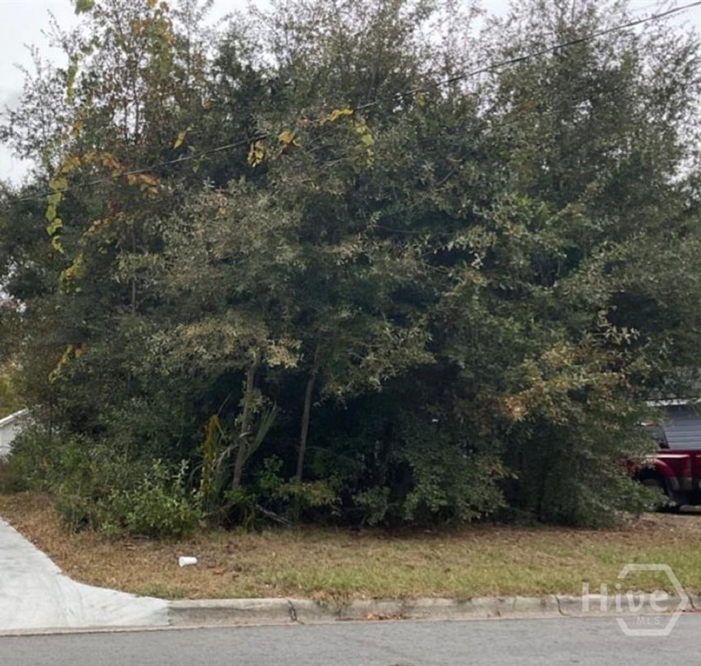 Photo of 0 Dixon Street, Savannah, GA 31405 (MLS # SA356114)