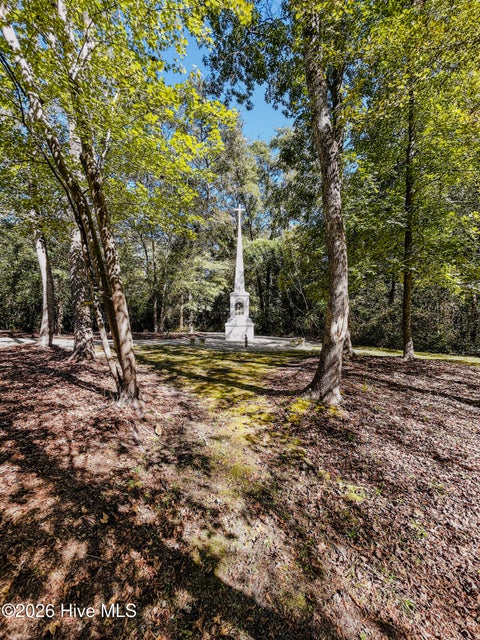 Tiny photo for 7850 Carolina 53, Burgaw, NC 28425 (MLS # 100610447)