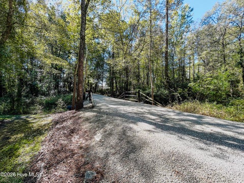 Tiny photo for 7850 Carolina 53, Burgaw, NC 28425 (MLS # 100610447)