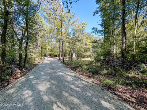 Tiny photo for 7850 Carolina 53, Burgaw, NC 28425 (MLS # 100610447)