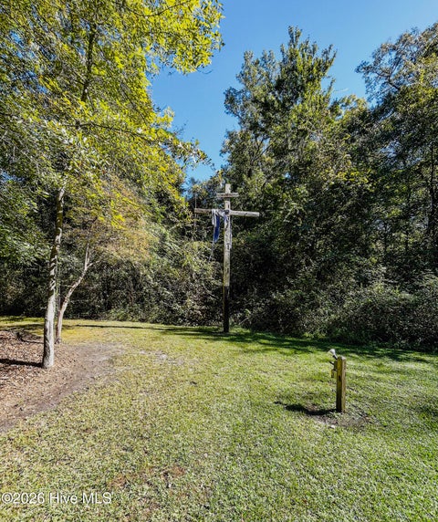 Tiny photo for 7850 Carolina 53, Burgaw, NC 28425 (MLS # 100610447)