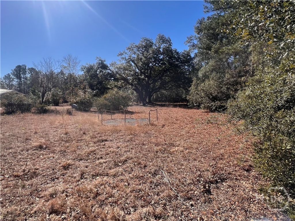 Photo of 145 Cherrie Murrell Street, Hinesville, GA 31313 (MLS # SA349023)