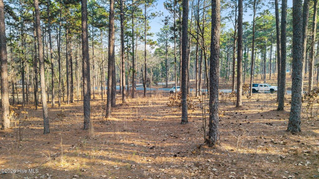 Photo of 434 N Fort Bragg Road, Southern Pines, NC 28387 (MLS # 100558891)