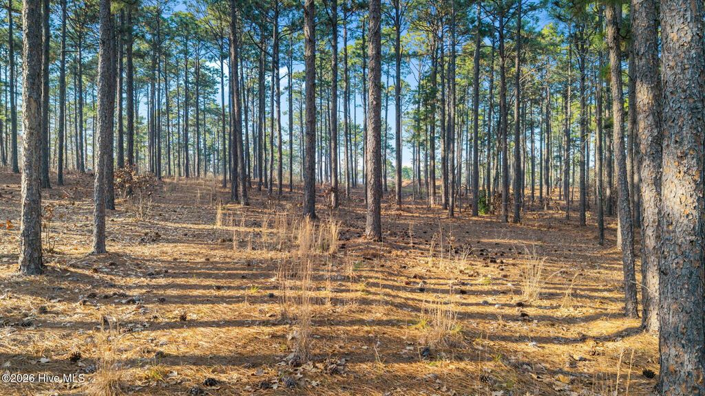 Photo of 434 N Fort Bragg Road, Southern Pines, NC 28387 (MLS # 100558891)