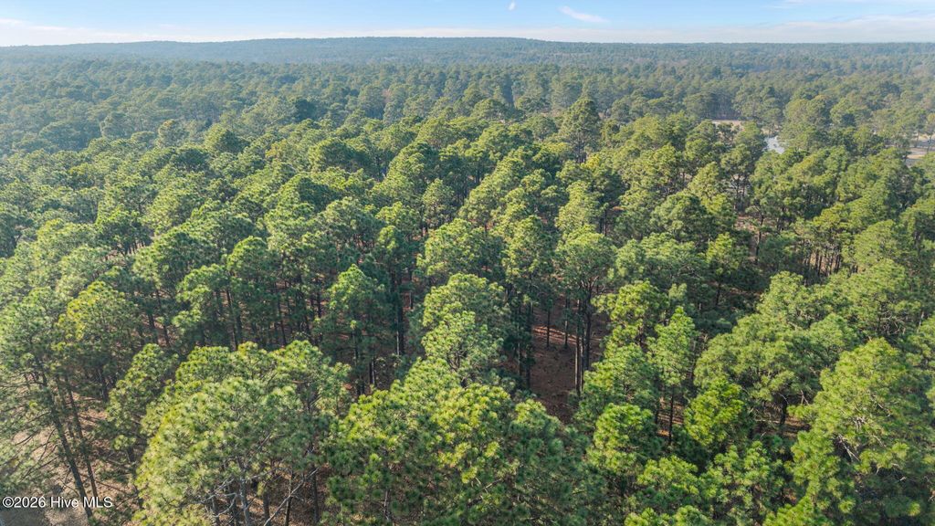 Photo of 434 N Fort Bragg Road, Southern Pines, NC 28387 (MLS # 100558891)