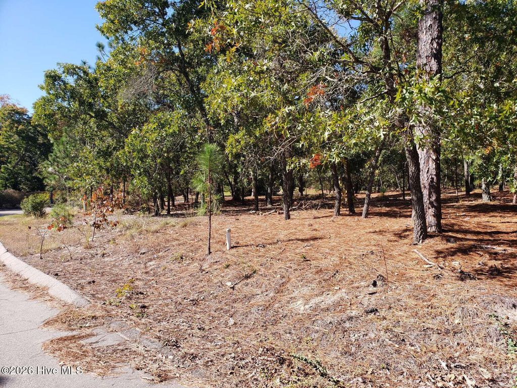 Photo of 325 Fieldcrest Road, Southern Pines, NC 28387 (MLS # 100549075)