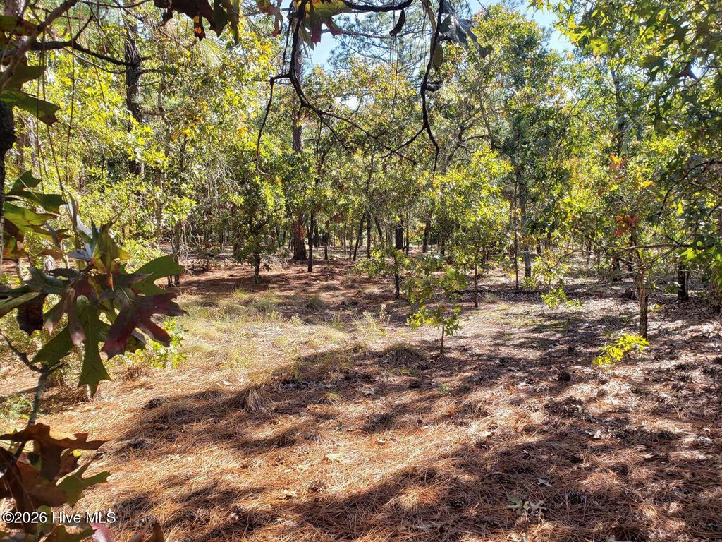 Photo of 325 Fieldcrest Road, Southern Pines, NC 28387 (MLS # 100549075)