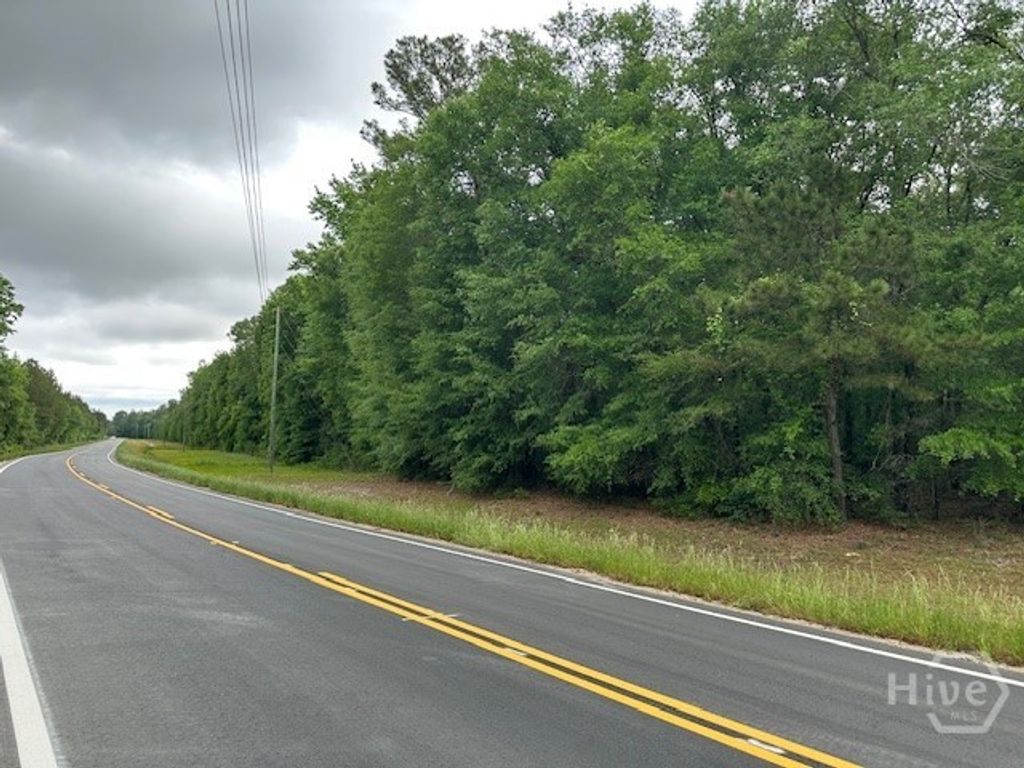 Photo of 0 Old Louisville Road, Guyton, GA 31312 (MLS # SA355088)