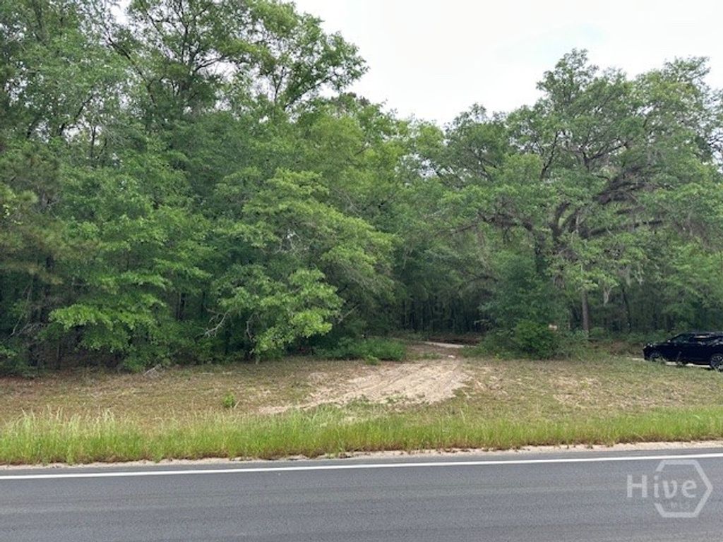 Photo of 0 Old Louisville Road, Guyton, GA 31312 (MLS # SA355088)