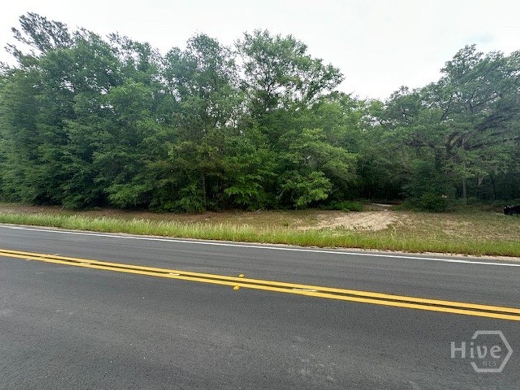 Photo of 0 Old Louisville Road, Guyton, GA 31312 (MLS # SA355088)