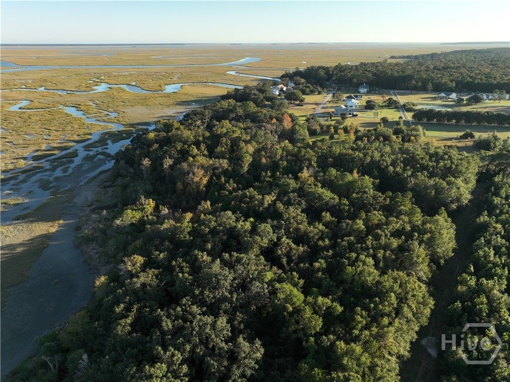 Photo of 0 Deloach Road, Midway, GA 31320 (MLS # SA347332)