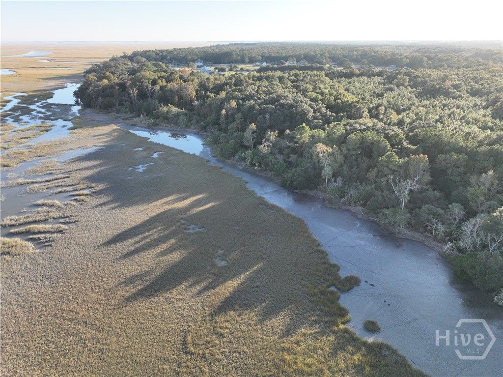 Photo of 0 Deloach Road, Midway, GA 31320 (MLS # SA347332)