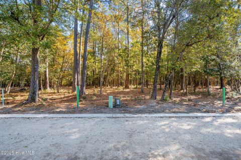 Tiny photo for 136 Stones Throw Lane, Wilmington, NC 28403 (MLS # 100543228)