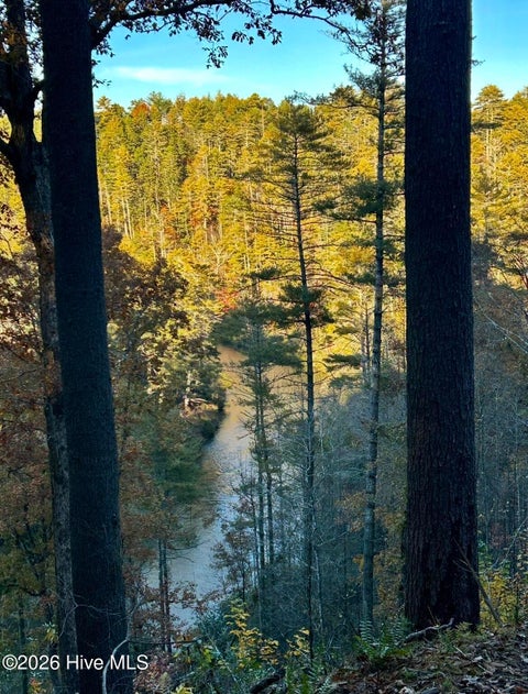 Vacant Land For Sale - 84 Nottley Ridge Road<br/> Murphy, NC 28906