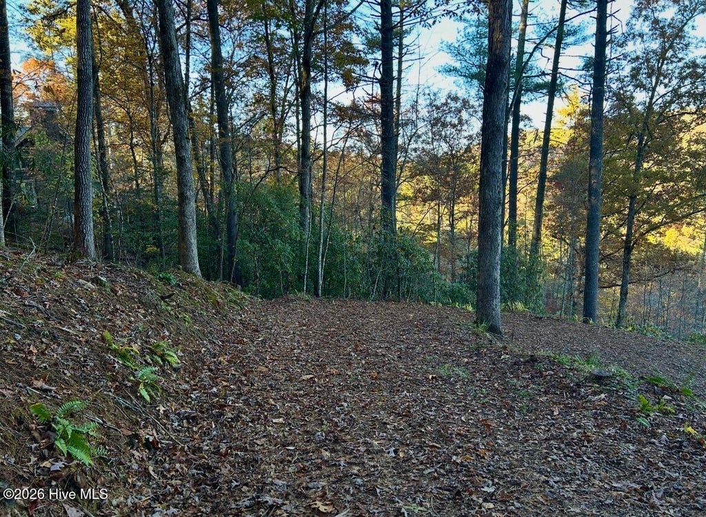 Photo of 84 Nottley Ridge Road, Murphy, NC 28906 (MLS # 100598857)