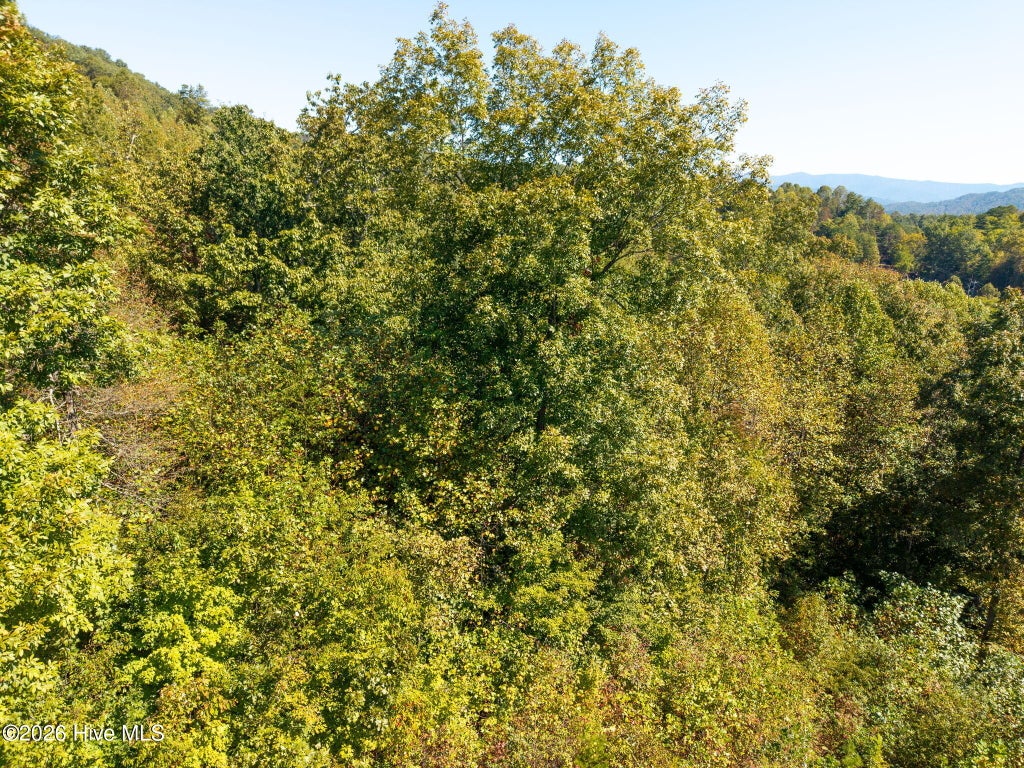 Photo of 164 Big Sky Drive, Murphy, NC 28906 (MLS # 100610347)