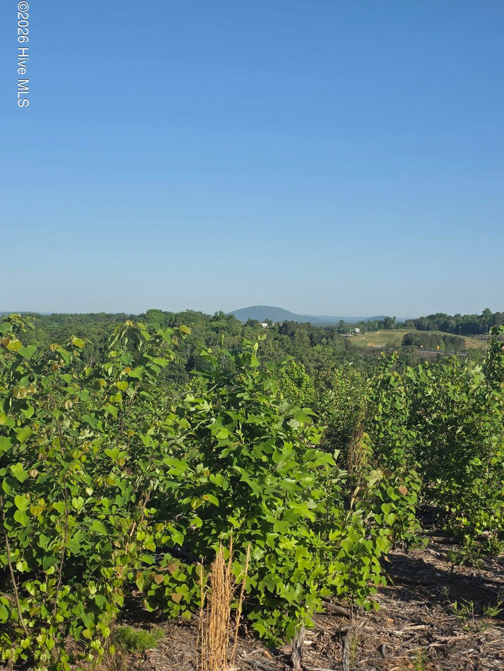 Photo of 1618 Skeen View Road, Asheboro, NC 27205 (MLS # 100569860)