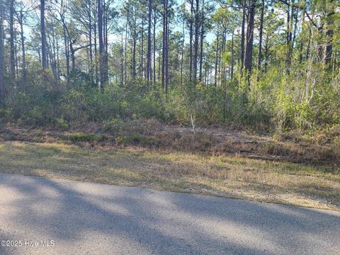 Vacant Land For Sale - LOT 208 Pepperhill Road<br/> Boiling Spring Lakes, NC 28461