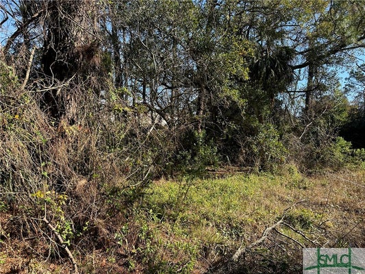 ADDRESS PRIVATE, TYBEE ISLAND, GA 31328 - Image d1c932b8ba5a2ba30f3efce1c584ea3f/422656554