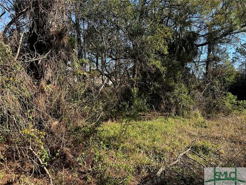 Vacant Land For Sale - Rifle Avenue<br/> Chatham County, Tybee Island, GA 31328