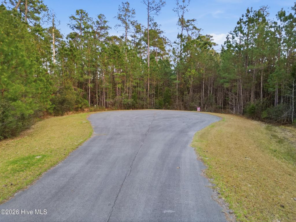 Photo of 121 Mason Lane, Merritt, NC 28556 (MLS # 100564576)