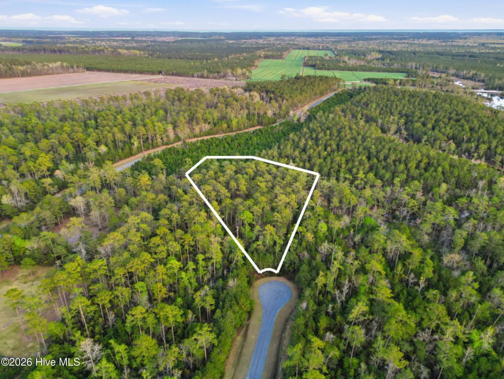 Photo of 121 Mason Lane, Merritt, NC 28556 (MLS # 100564576)