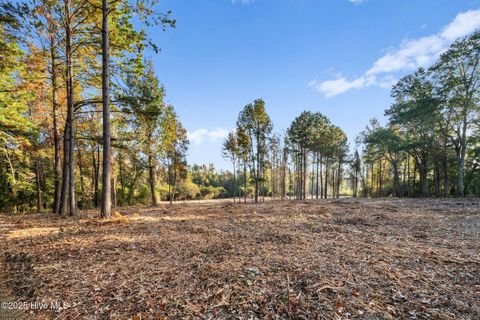 Tiny photo for Lot D Us Hwy 117 Bypass S, Burgaw, NC 28425 (MLS # 100543407)